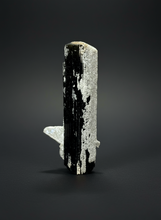 Load image into Gallery viewer, Cleavelandite Encrusted Dark Green Stak Nala Tourmaline – Haramosh Mountains, Pakistan | Thumbnail Specimen
