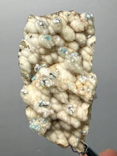 Load image into Gallery viewer, Blue-Green Chrysocolla in Botryoidal Chalcedony Cabinet Specimen | Indonesia