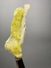 Load image into Gallery viewer, Vibrant Yellow Brucite Thumbnail Mineral Specimen | Collector Crystal from Killa Saifullah District in Balochistan Province, Pakistan