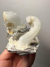 Load image into Gallery viewer, RARE COMBO Moroccan Ram’s Horn Selenite (Gypsum) with Yellow Botryoidal Fluorite Display Specimen