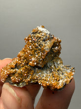 Load image into Gallery viewer, Natural Vanadinite on Matrix | Collector Mineral Specimen | Morocco
