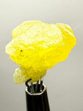 Load image into Gallery viewer, Vibrant Yellow Brucite Thumbnail Mineral Specimen | Collector Crystal from Killa Saifullah District in Balochistan Province, Pakistan