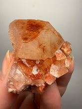 Load image into Gallery viewer, Rare Red Apophyllite Crystal Cluster – High Grade Collector Mineral Specimen | India