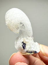 Load image into Gallery viewer, RARE COMBO Moroccan Ram’s Horn Selenite (Gypsum) with Purple Fluorite Display Specimen