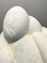 Load image into Gallery viewer, Chichaoua Menalite “Fairy Stone” Concretion | Natural Collector Display Specimen | Morocco
