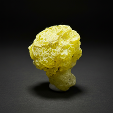 Load image into Gallery viewer, Vibrant Yellow Brucite Thumbnail Mineral Specimen | Collector Crystal from Killa Saifullah District in Balochistan Province, Pakistan