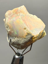 Load image into Gallery viewer, Precious Opal with Color Play | Welo, Ethiopia