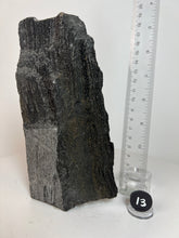 Load image into Gallery viewer, Black Druzy Petrified Wood from Indonesia