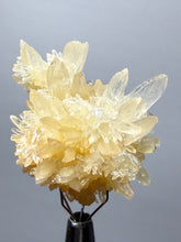 Load image into Gallery viewer, High-Grade Flower Calcite Crystal Specimen | Wenshan Mine, Yunnan, China | Collector Mineral Display