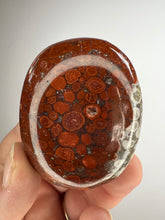 Load image into Gallery viewer, Cobra Jasper Palm Stone from India • High Grade