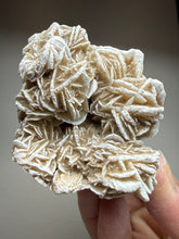 Load image into Gallery viewer, Desert Rose Selenite (Gypsum) — Mineral Display Specimen | Mexico