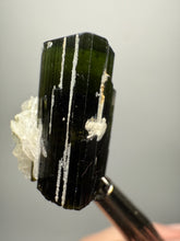 Load image into Gallery viewer, Dark Green Stak Nala Tourmaline and Cleavelandite – Haramosh Mountains, Pakistan | Thumbnail Specimen