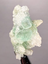 Load image into Gallery viewer, Luminous Mint Apophyllite with Glittering Druzy Sugar Quartz – India