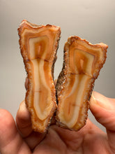 Load image into Gallery viewer, High-Grade Indonesian Sumatra Agate Pair – Vibrant Banded Chalcedony with Rich Color Zoning | Ethical Lapidary & Collector Display Specimens