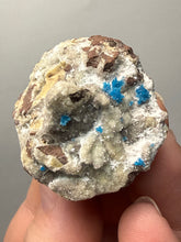 Load image into Gallery viewer, Rare Electric Blue Pentagonite on Druzy Matrix – Collector Mineral Specimen | India