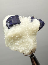 Load image into Gallery viewer, Afghan Lazurite Specimen | Deep Blue Lapis-Grade Crystal on Matrix | Collector Display Mineral