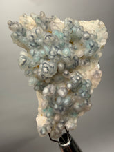 Load image into Gallery viewer, Blue-Green Chrysocolla in Botryoidal Chalcedony Cabinet Specimen | Indonesia