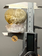 Load image into Gallery viewer, Rare Botryoidal Yellow Fluorite on Quartz Matrix Collector Mineral Specimen – Maharashtra, India
