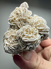 Load image into Gallery viewer, Desert Rose Selenite (Gypsum) — Mineral Display Specimen | Mexico