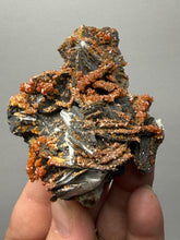 Load image into Gallery viewer, Natural Vanadinite on Matrix | Collector Mineral Specimen | Morocco