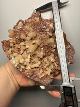 Load image into Gallery viewer, XLG Shiny Peach Stilbite and Mint Green Apophyllite on Druzy Red Heulandite – High-Grade Collector Mineral Specimen from India