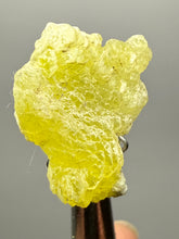 Load image into Gallery viewer, Vibrant Yellow Brucite Thumbnail Mineral Specimen | Collector Crystal from Killa Saifullah District in Balochistan Province, Pakistan