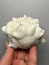 Load image into Gallery viewer, Superb White Flos Ferri Aragonite “Flower of Iron” Mineral Specimen | Lom Vitošov, Czech Republic