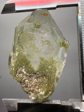 Load image into Gallery viewer, Chlorite-Included Faden Quartz Cluster (Green Phantom Quartz) | Pakistan Mineral Specimen