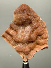 Load image into Gallery viewer, Chalcedony Quartz Rose Agate Collector Mineral Specimen – Morocco
