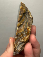 Load image into Gallery viewer, Premium Sumatra Agate (Banded Chalcedony) Display Specimen | Indonesia