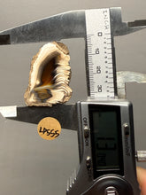 Load image into Gallery viewer, Premium Sumatra Agate (Banded Chalcedony) Display Specimen | Indonesia