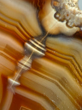 Load image into Gallery viewer, High-Grade Indonesian Sumatra Agate Pair – Vibrant Banded Chalcedony with Rich Color Zoning | Ethical Lapidary & Collector Display Specimens