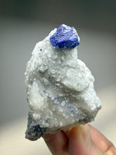 Load image into Gallery viewer, Afghan Lazurite Specimen | Deep Blue Lapis-Grade Crystal on Matrix | Collector Display Mineral
