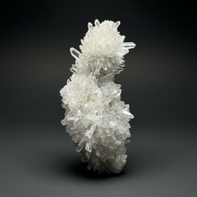 Load image into Gallery viewer, High-Grade Chrysanthemum Quartz (Needle Quartz) Spray Cluster | Jiangxi, China
