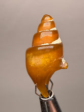 Load image into Gallery viewer, Agatized Gastropod Fossil Specimen | Morocco