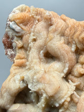 Load image into Gallery viewer, Chalcedony Quartz Rose Agate Collector Mineral Specimen – Morocco