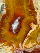 Load image into Gallery viewer, High-Grade Turkish Agate with Botryoidal Chalcedony Vug – Rare Collector’s Gem
