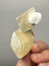Load image into Gallery viewer, Rare Druzy Golden “Diamond” Calcite on Zeolite Matrix — Maharashtra, India | Collector Cabinet Specimen