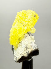 Load image into Gallery viewer, Vibrant Yellow Brucite Thumbnail Mineral Specimen | Collector Crystal from Killa Saifullah District in Balochistan Province, Pakistan