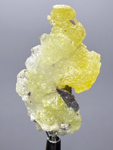 Load image into Gallery viewer, Vibrant Yellow Brucite Thumbnail Mineral Specimen | Collector Crystal from Killa Saifullah District in Balochistan Province, Pakistan