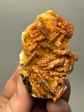 Load image into Gallery viewer, Natural Vanadinite on Matrix | Collector Mineral Specimen | Morocco