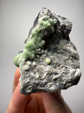 Load image into Gallery viewer, High-Grade Green Wavellite Collectors Specimen - Radiating Botryoidal Crystal Formation - Arkansas, USA