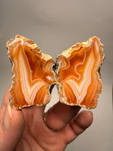 Load image into Gallery viewer, High-Grade Indonesian Sumatra Agate Pair – Vibrant Banded Chalcedony with Rich Color Zoning | Ethical Lapidary & Collector Display Specimens