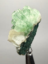 Load image into Gallery viewer, Green Radial “Disco Ball” Apophyllite | Maharashtra, India