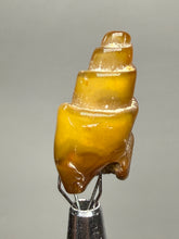 Load image into Gallery viewer, Agatized Gastropod Fossil Specimen | Morocco