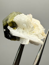 Load image into Gallery viewer, Dark Green Cap Stak Nala Tourmaline and Cleavelandite – Haramosh Mountains, Pakistan | Thumbnail Specimen