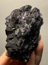 Load image into Gallery viewer, High-Grade Rare Purple-Green-Blue Cubic Fluorite | Cabinet Mineral Collector Specimen | Zhejiang Province, China
