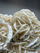 Load image into Gallery viewer, Desert Rose Selenite (Gypsum) — Mineral Display Specimen | Mexico