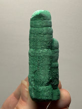 Load image into Gallery viewer, 3.2” High-Grade Malachite Stalactite “Cave” Formation | DR Congo | Mineral Collector Specimen
