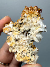 Load image into Gallery viewer, Natural Vanadinite on Matrix | Collector Mineral Specimen | Morocco